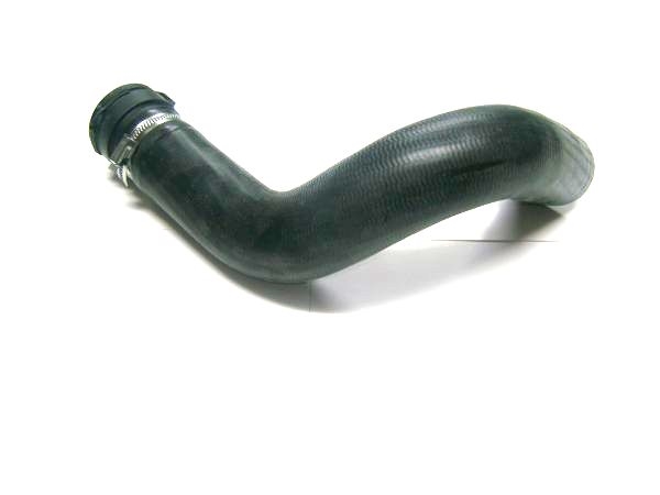 Imagine pentru produsul „FURTUN RADIATOR (CAUCIUC)"