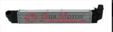 Imagine pentru produsul „NBB FD INTERCOOLER - GUA"