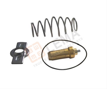 KIT REP. THERMOSTAT (79Â°C) CURSOR F3G/H (W/ RET - E6)