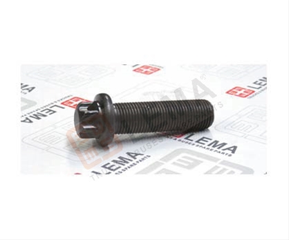 SURUB  M16X1,5/55-10.9 TORX LARGE FLANGE