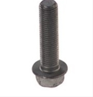 Imagine pentru produsul „SURUB PLACA PISTON M16X65"