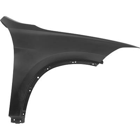 FRONT FENDER R - A.M.