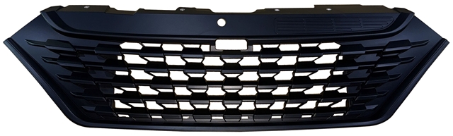 GRILA RADIATOR DAILY 2019 >> - A.M.
