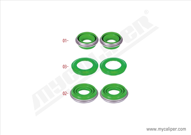 Imagine pentru produsul „SET REPARATIE GARNITURI ETRIER MYCALIPER     PROMO LIMITAT FD NBB"