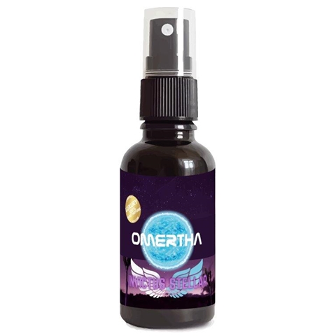 Imagine pentru produsul „ODORIZANT AUTO FORMA RACHETA CU ESENTA INVICTUS STELLAR 30 ML OMERTHA"