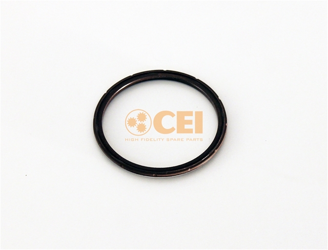 Imagine pentru produsul „SIMERING CSNBB CEI"