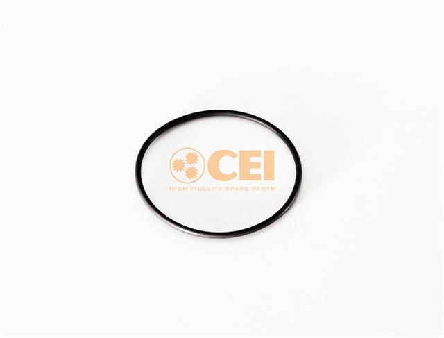 Imagine pentru produsul „O-RING CSNBB CEI"