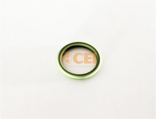 O-RING CEI