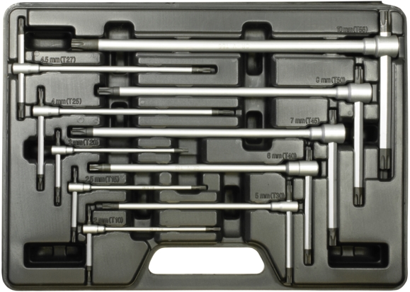 Imagine pentru produsul „SFNBB SET SURUBELNITE TEU TORX T10T50"