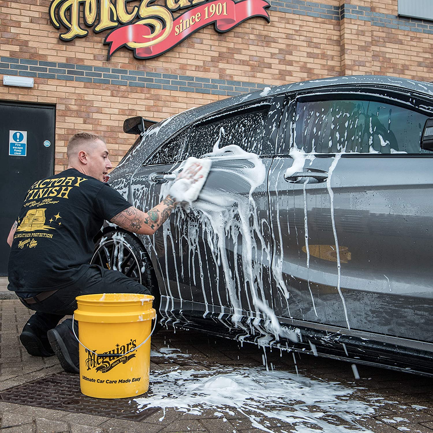 GALEATA GALBENA,  YELLOW BUCKET  - MEGUIARS