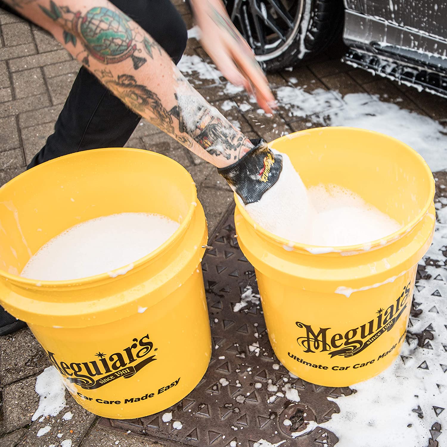 GALEATA GALBENA,  YELLOW BUCKET  - MEGUIARS