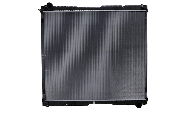 RADIATOR (CU RAMA)
