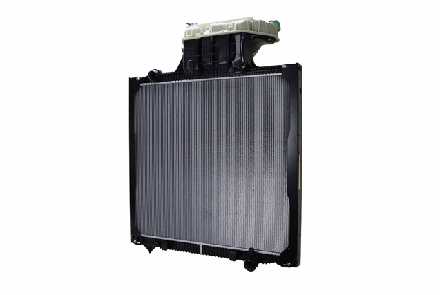 RADIATOR (CU RAMA)