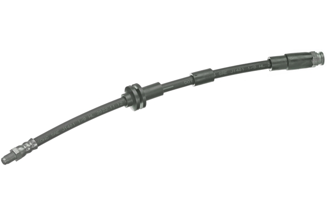 FURTUN FRANA