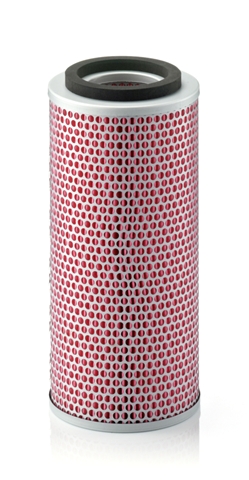 Imagine pentru produsul „FILTRU AER"