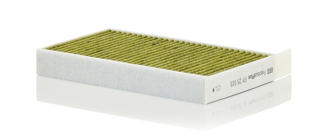 FILTRU AER CABINA