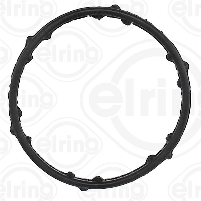GARNITURA FLANSA LICHID RACIRE