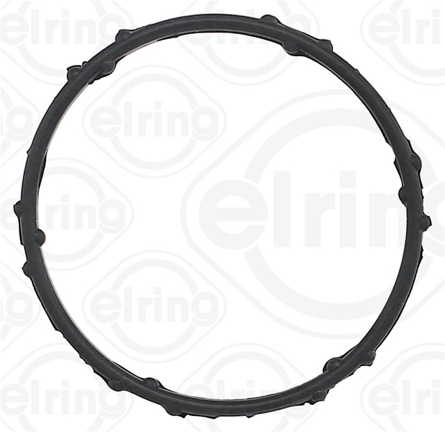 GARNITURA FLANSA LICHID RACIRE