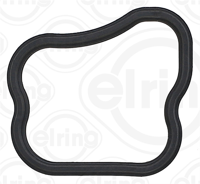GARNITURA FLANSA LICHID RACIRE
