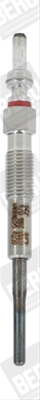 BUJIE INCANDESCENTA