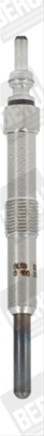 BUJIE INCANDESCENTA