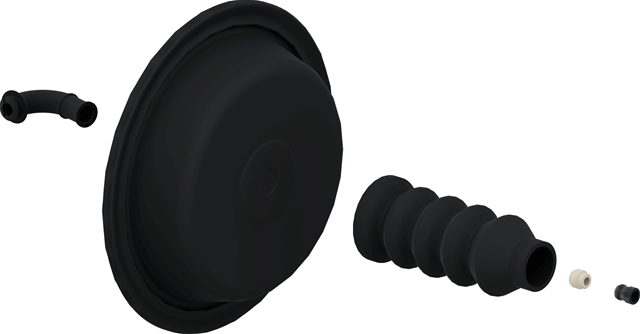 MEMBRANA