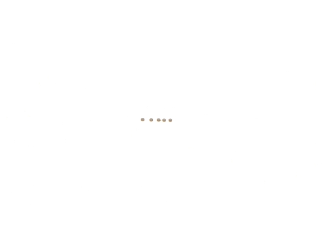 SET DE PIESE (DIESEL) - BOSCH - CSNBB