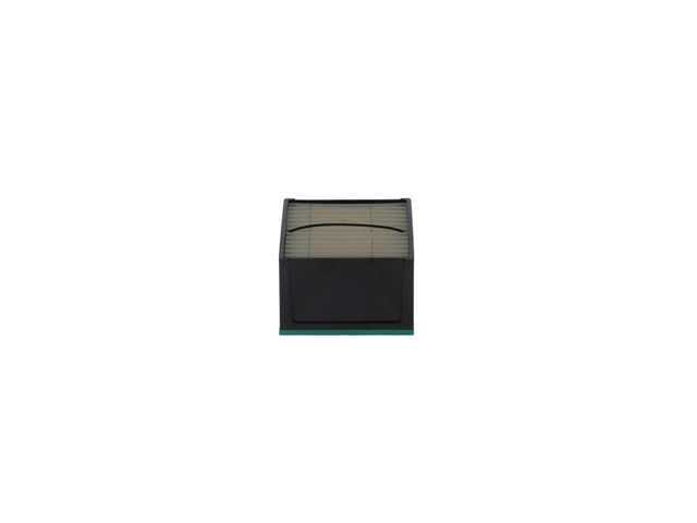 FILTRU COMBUSTIBIL (FILTRE)