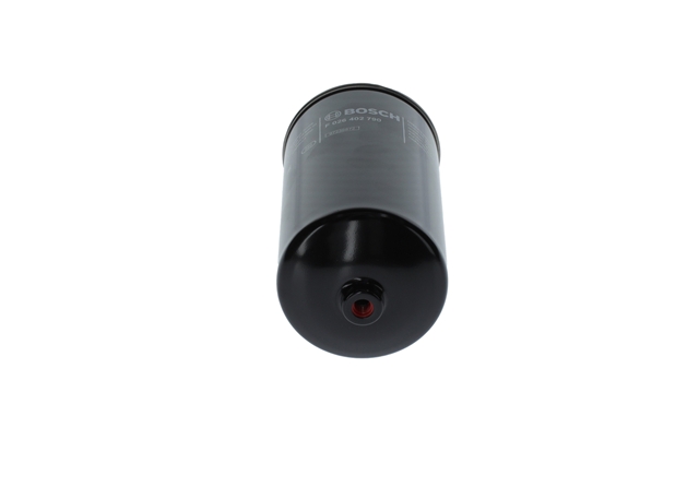 FILTRU COMBUSTIBIL (FILTRE)