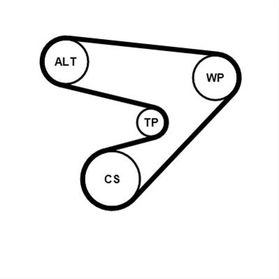 SET CUREA TRANSMISIE CU CANELURI