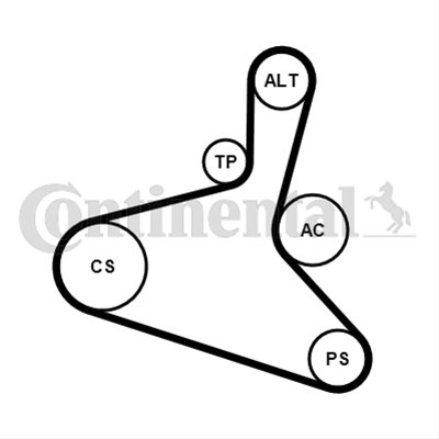 SET CUREA TRANSMISIE CU CANELURI
