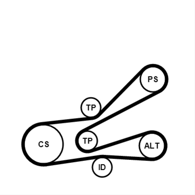 SET CUREA TRANSMISIE CU CANELURI
