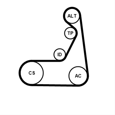 SET CUREA TRANSMISIE CU CANELURI CONTINENTAL