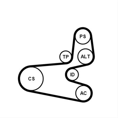 SET CUREA TRANSMISIE CU CANELURI