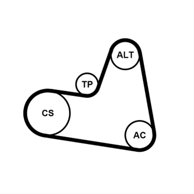 SET CUREA TRANSMISIE CU CANELURI