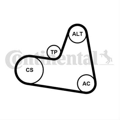 Imagine pentru produsul „SET CUREA TRANSMISIE CU CANELURI CONTINENTAL"