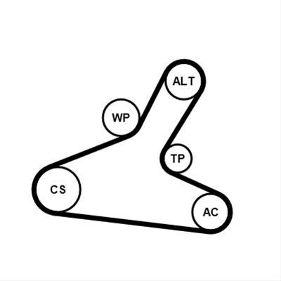 SET CUREA TRANSMISIE CU CANELURI CONTINENTAL