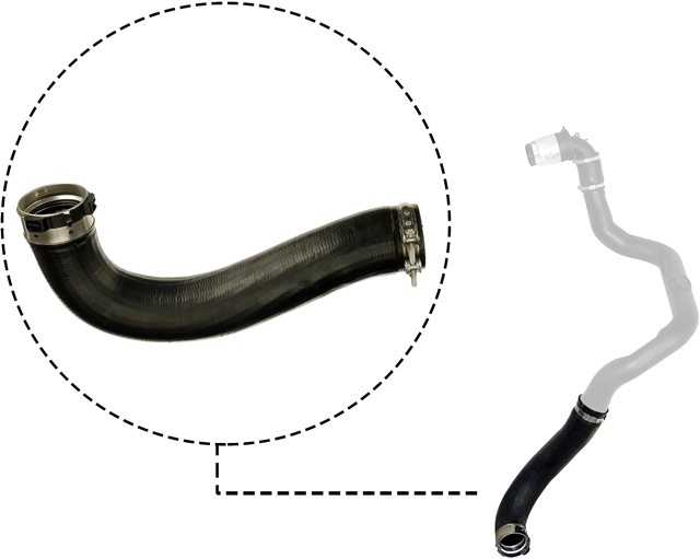 FURTUN EAR SUPRAALIMENTARE