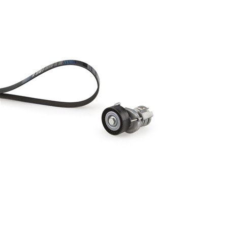 MICRO-V®