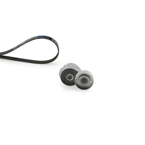 MICRO-V®
