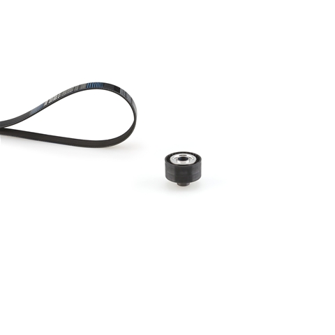 MICRO-V®