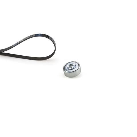 MICRO-V®