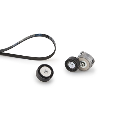 MICRO-V®