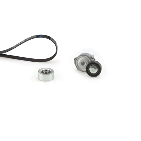 MICRO-V®