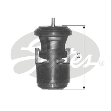TERMOSTAT,LICHID RACIRE