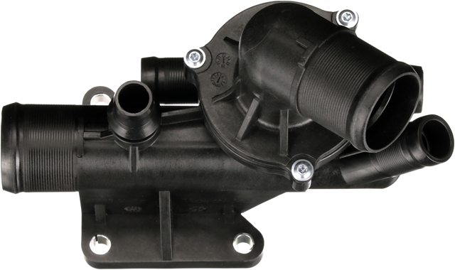 TERMOSTATLICHID RACIRE