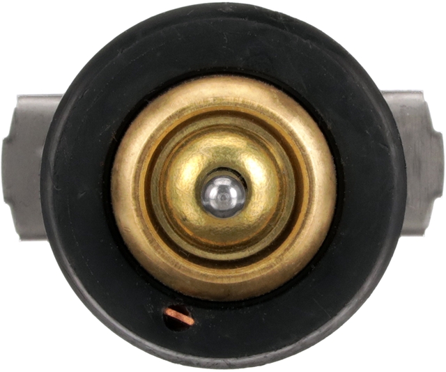 TERMOSTAT LICHID RACIRE