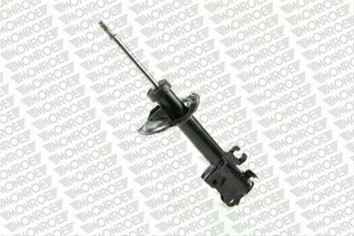 Imagine pentru produsul „AMORTIZOR"