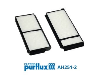FILTRU AER POLEN
