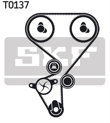 SET CUREA DE DISTRIBUTIE